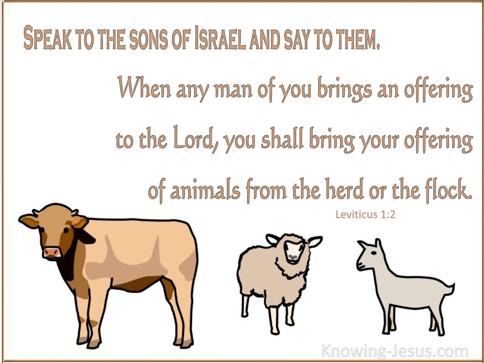 Leviticus 1:2 Bring Your Offering Of Animals From The Herd Or The Flock (white)